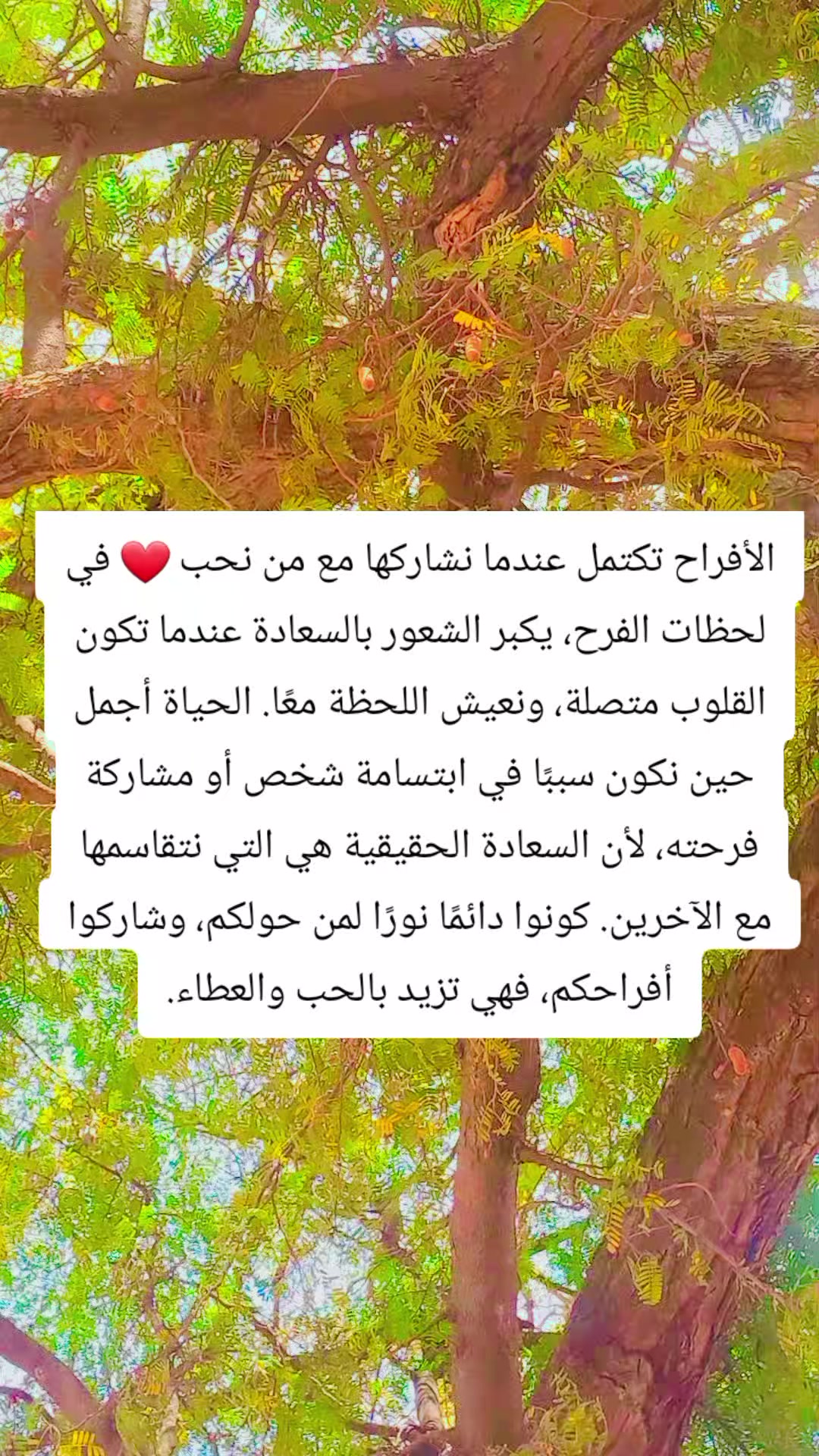 @☠️ود الشيخ 💀☠️