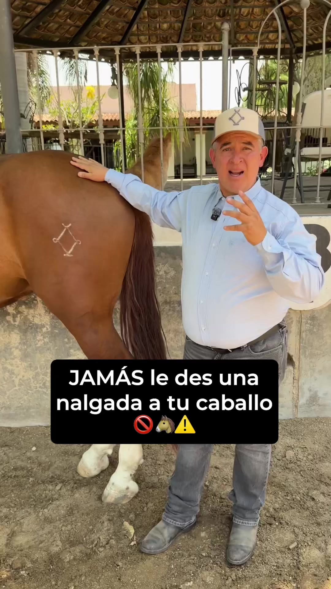 @Agua Zarca, Caballos Españoles
