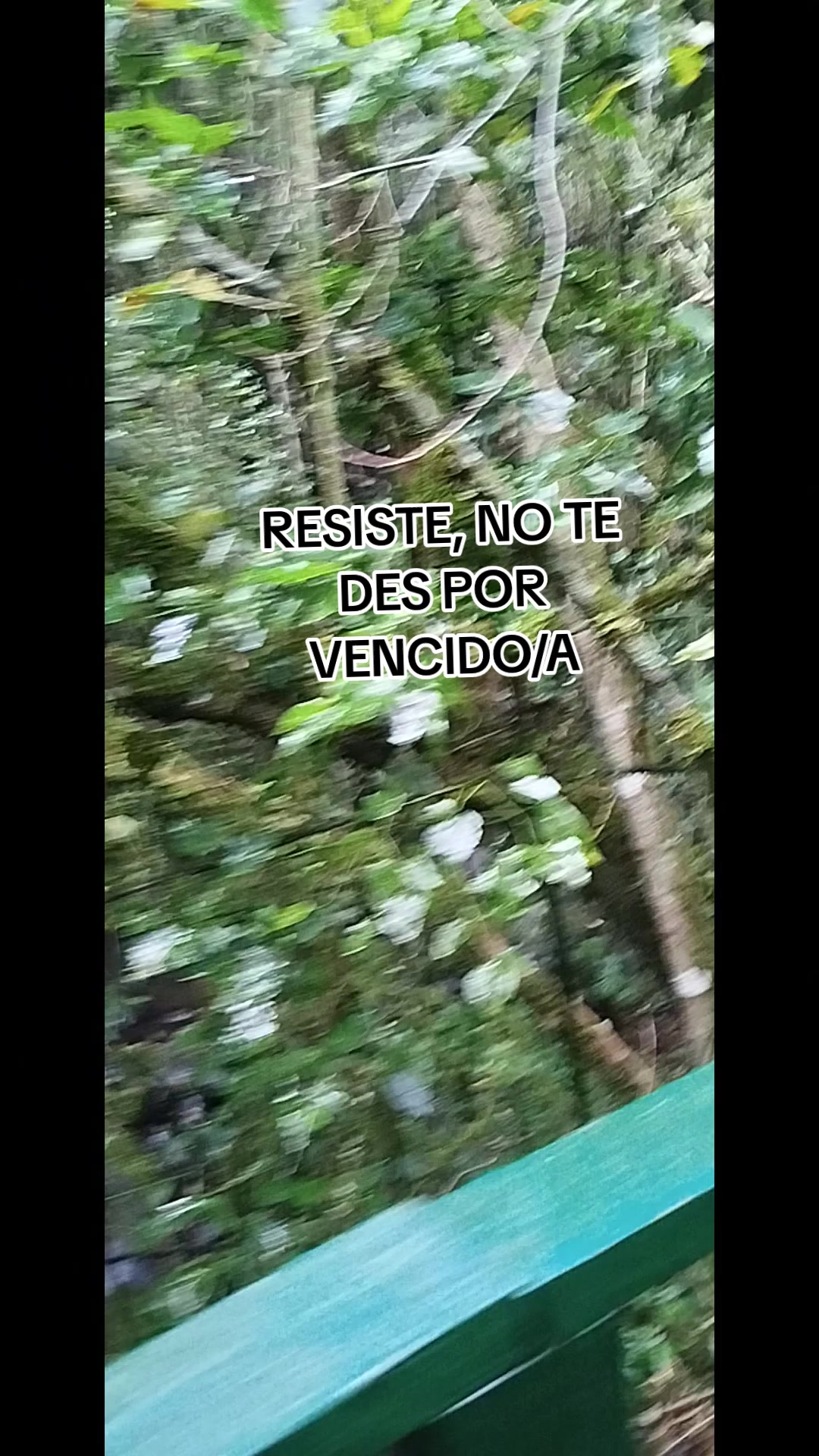 @Mari👩🏻🏫