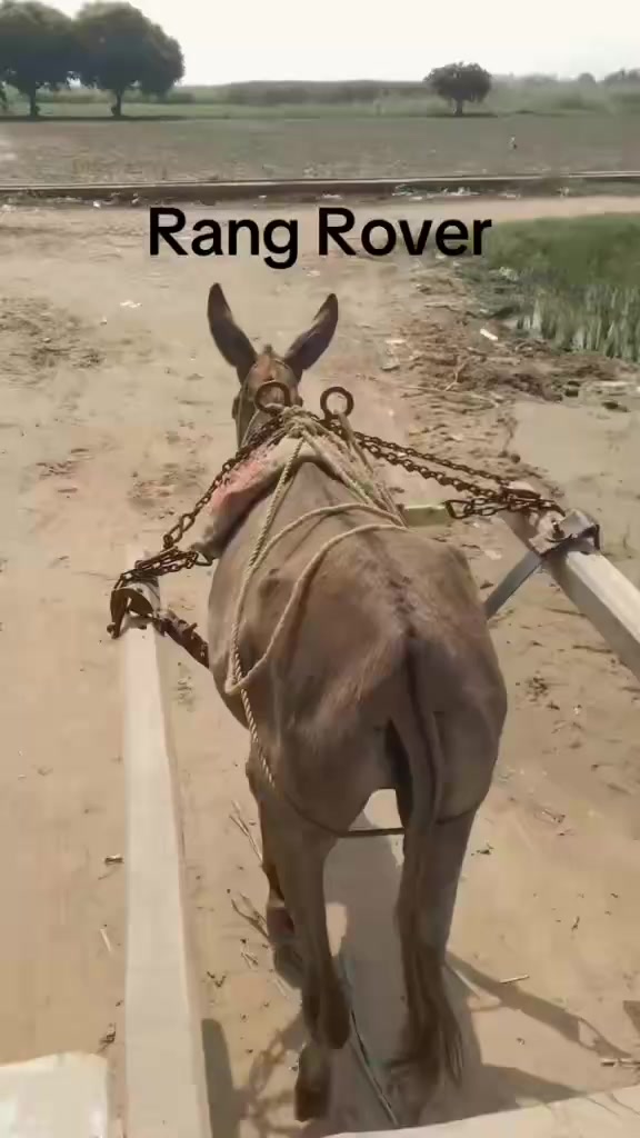@Qasim07