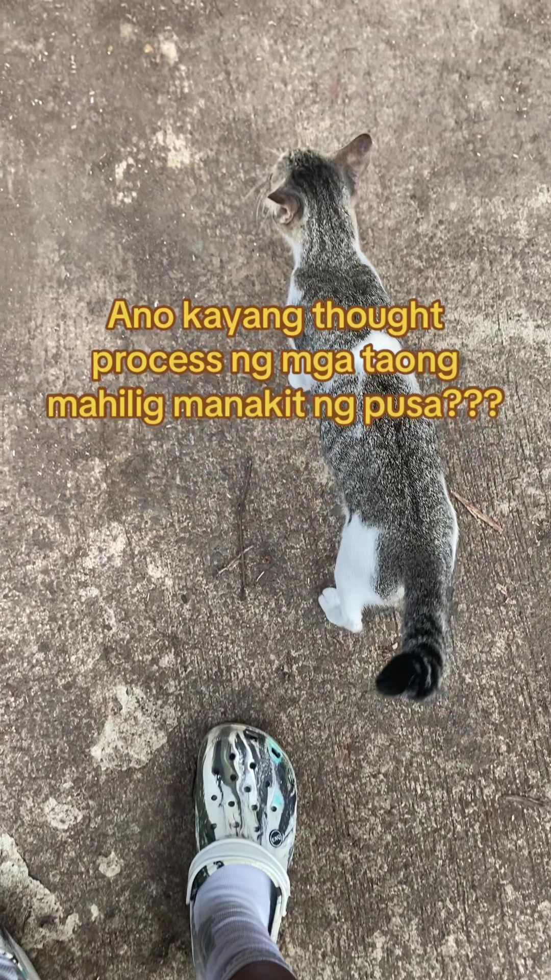@Juls