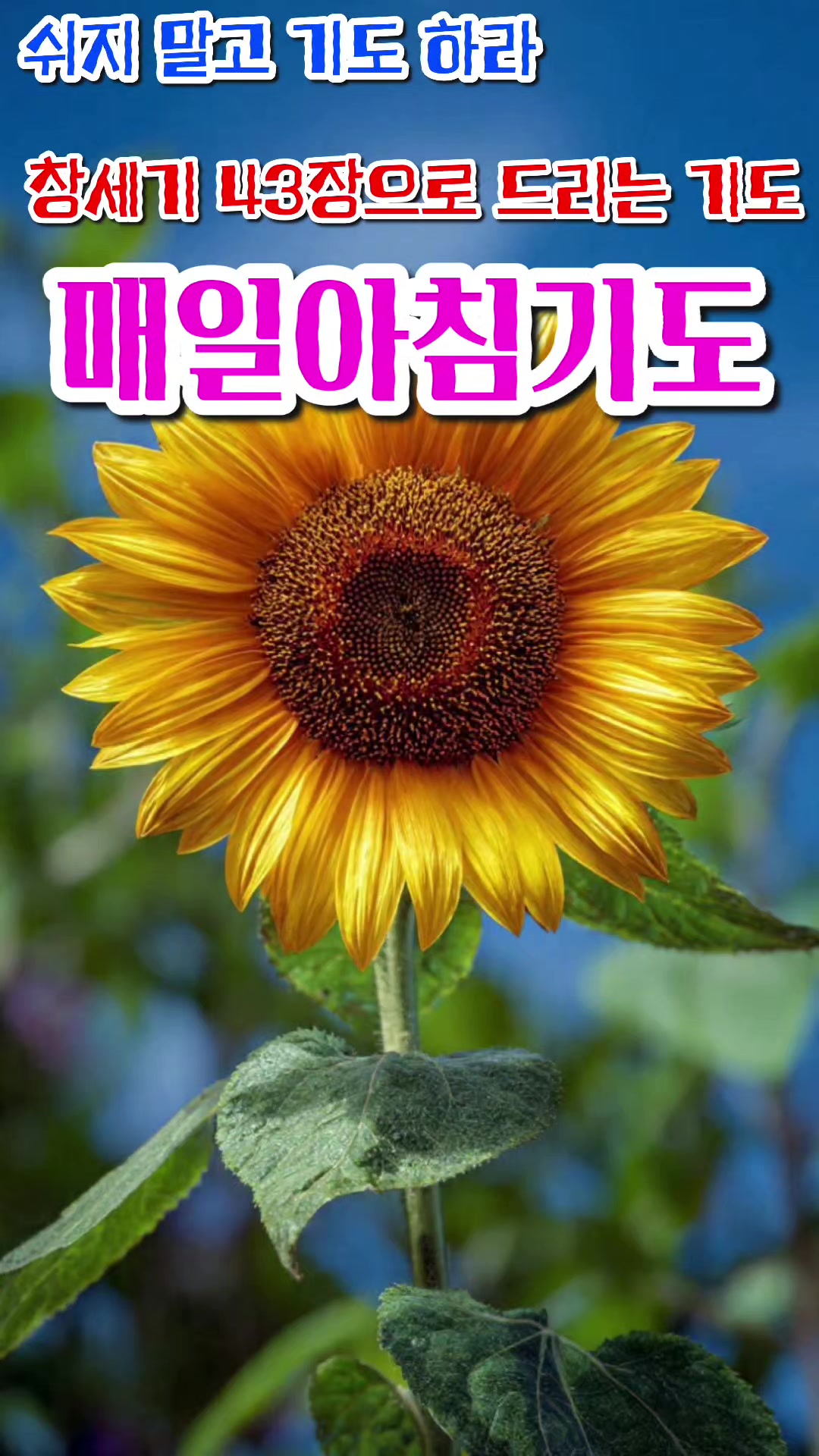 @피켓전도 김종일 목사