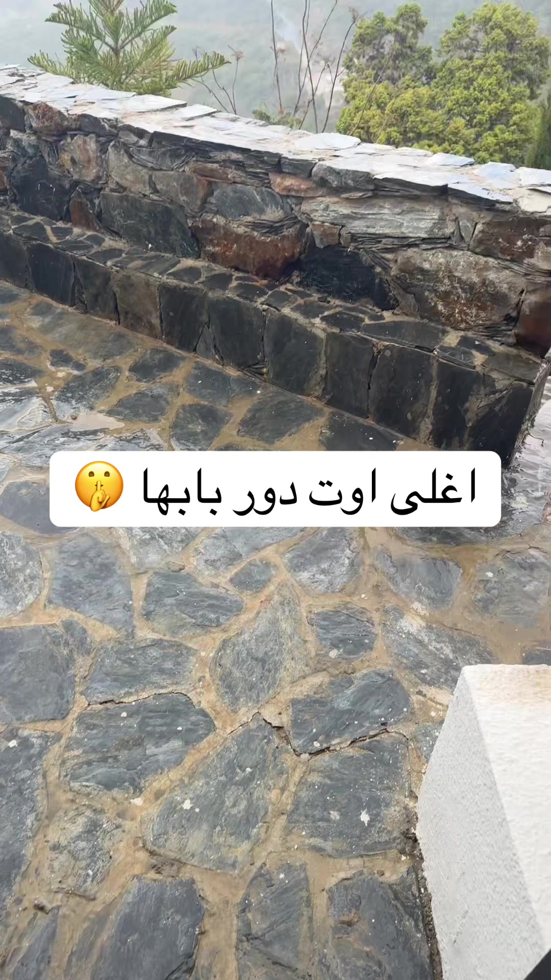 @مصورة ابها هناء 🐝