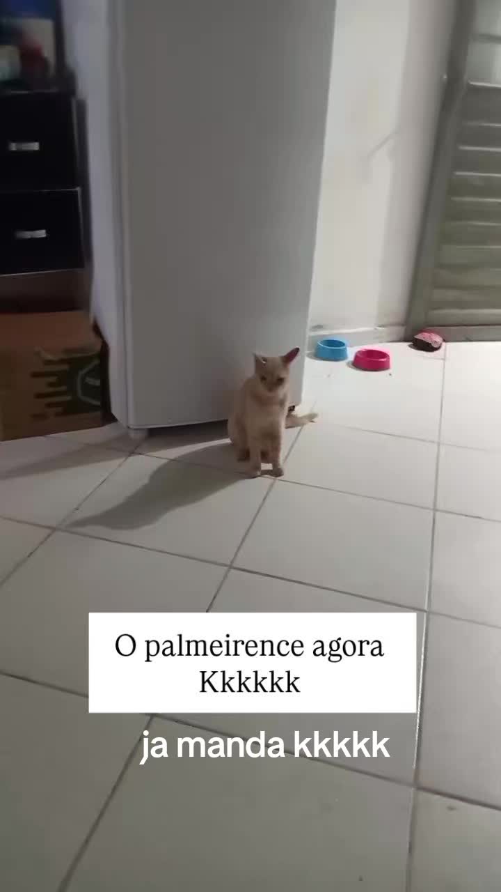@@_euingridsilva
