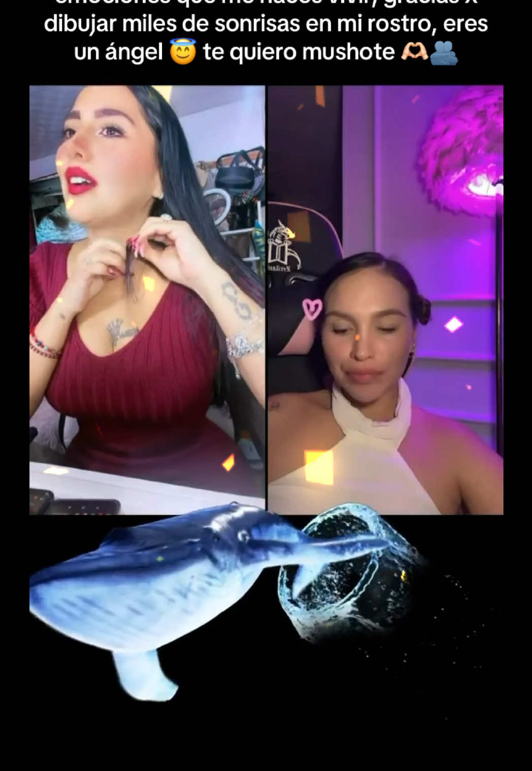 @🎀𝐌𝐢𝐬𝐡 𝐨𝐣𝐢𝐭𝐨𝐬👀🫦