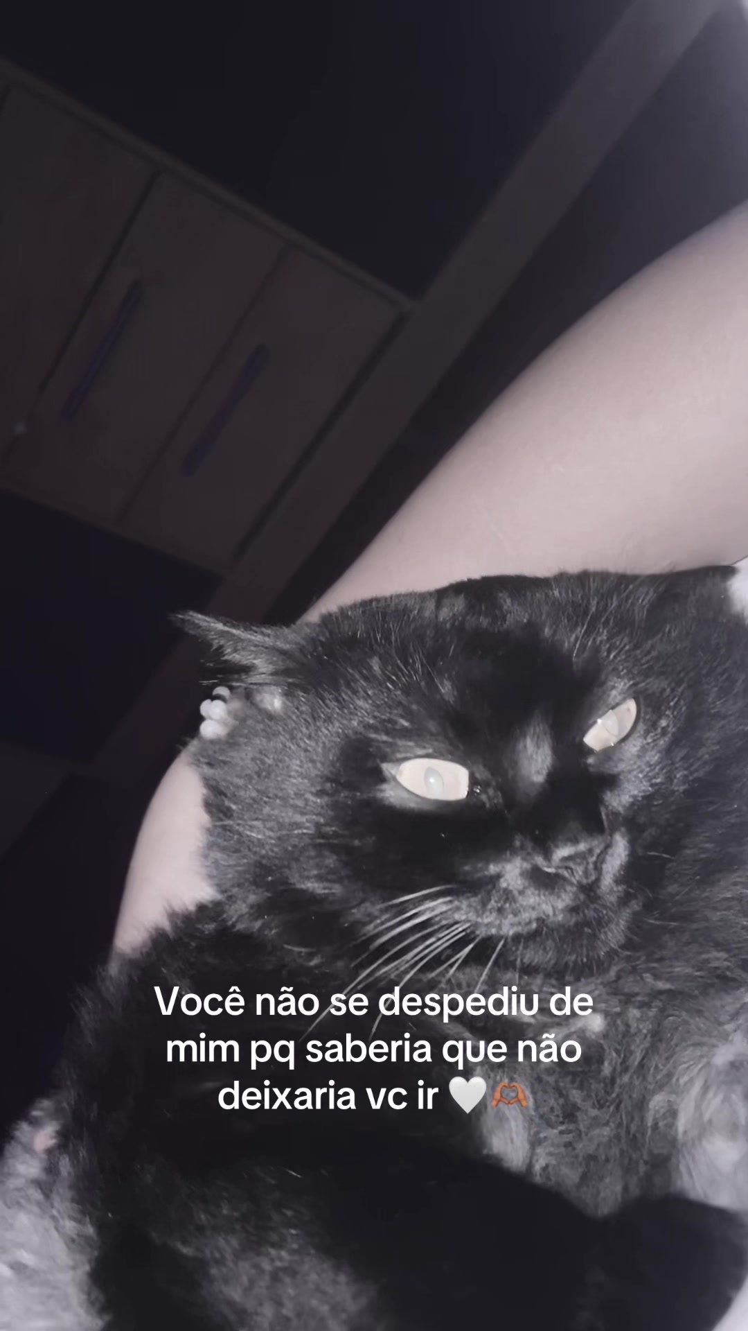 @Camargo 🇧🇷