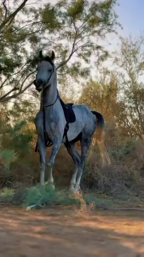 @غيث 🦅