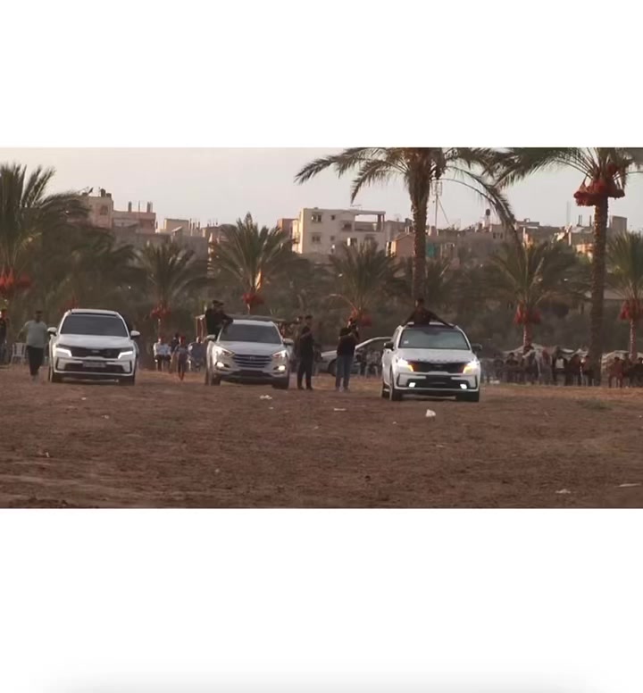 @شريف ابو مسعود