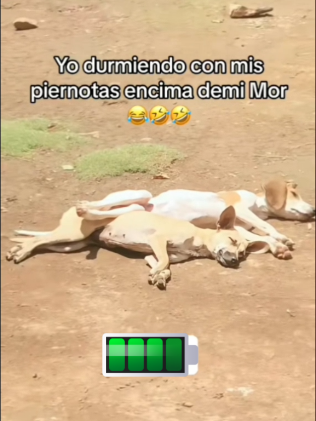 @Amiir Escudero
