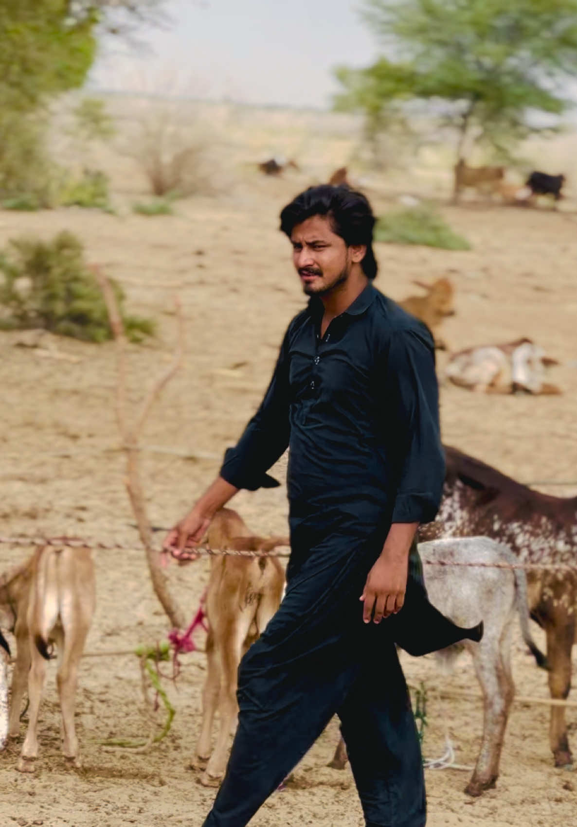 @وقاص روہی والا