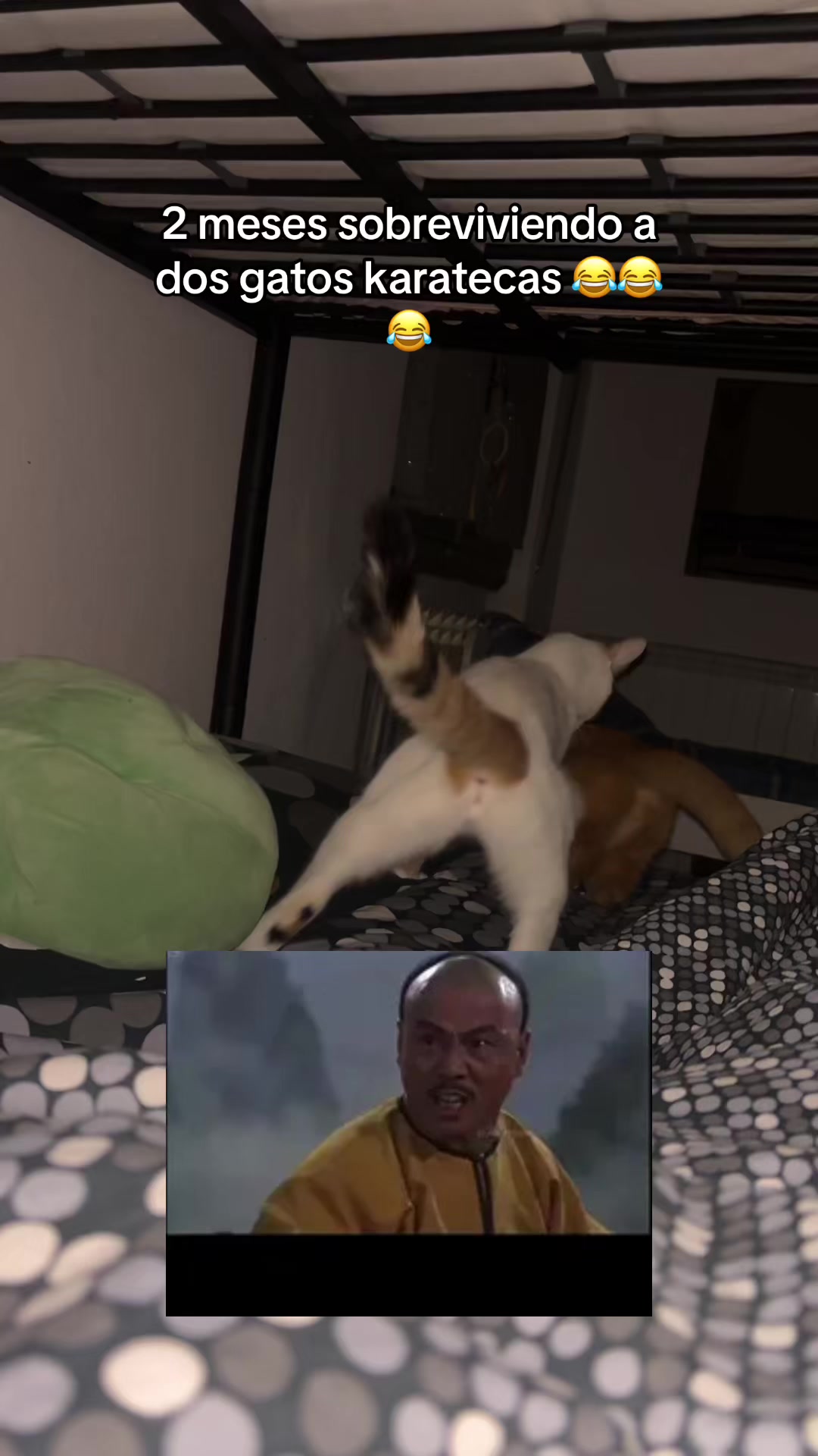 @carolina.vidareal