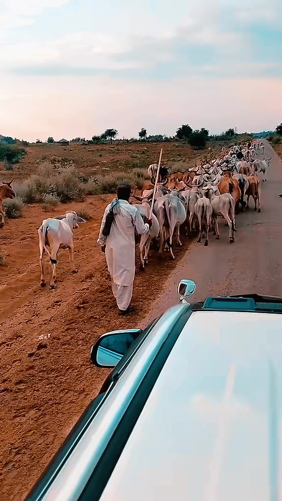 @ابوبکر🌸
