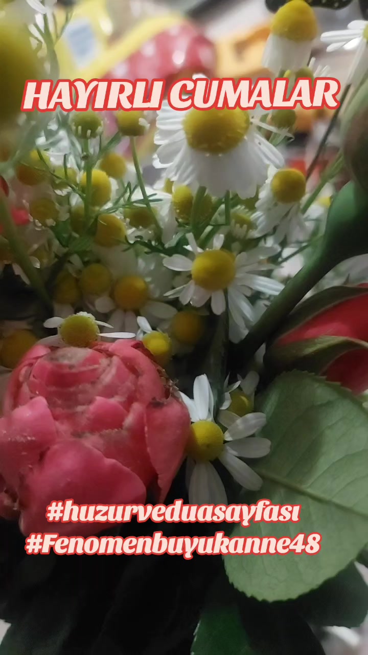 @Fenomenbuyukanne48