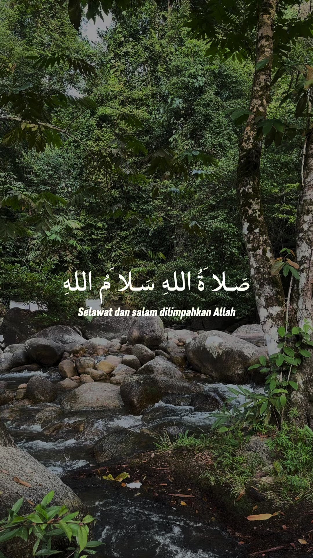 @Mok Abah