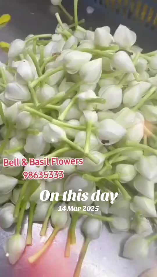 @sathish 08
