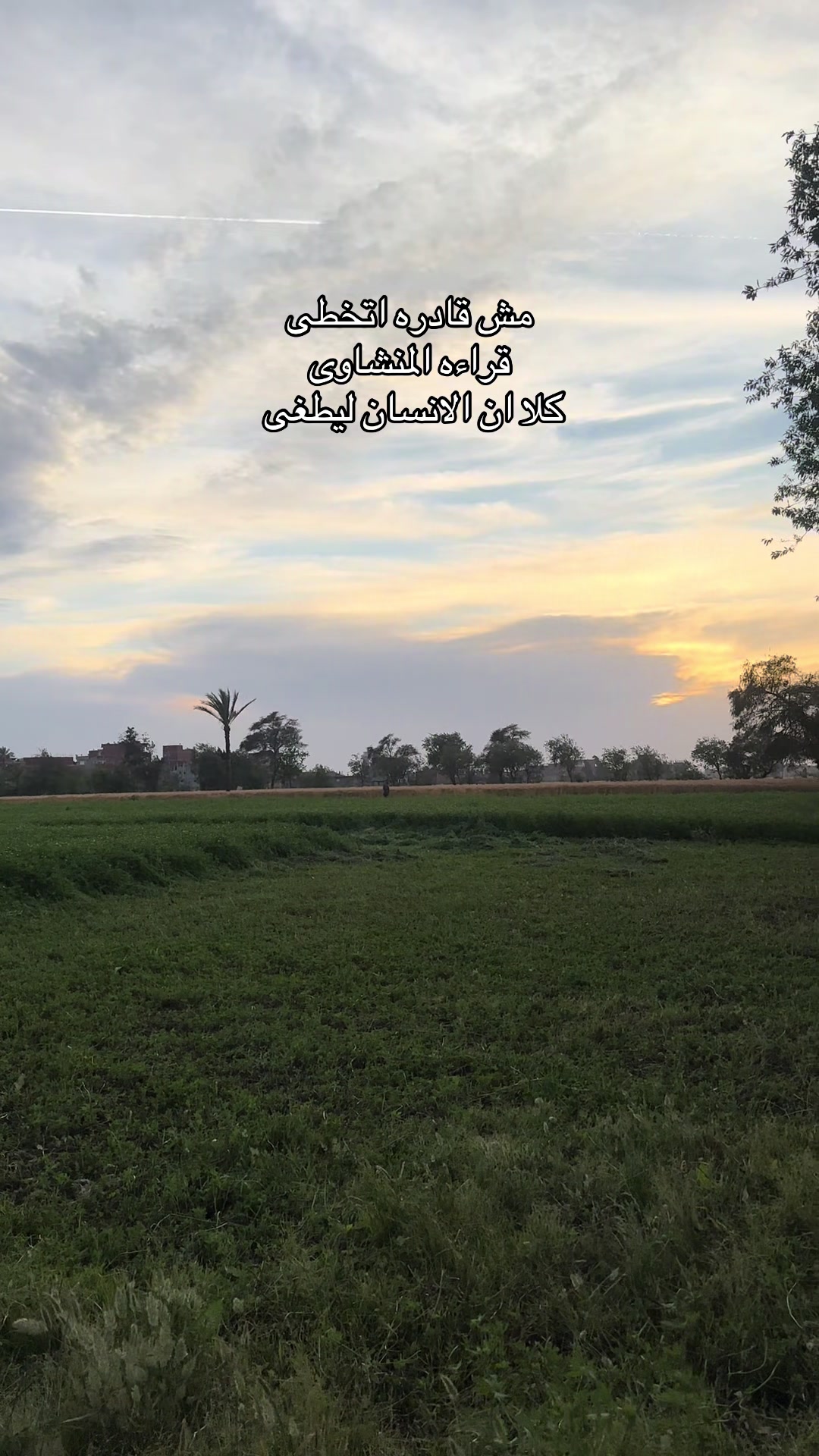 @🇸🇦&Ecirc;Mŷ🇪🇬