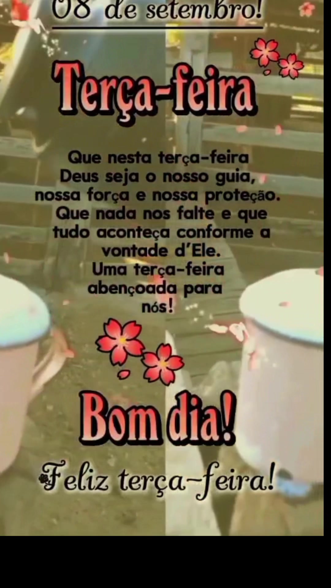 @Bolina de Goiás