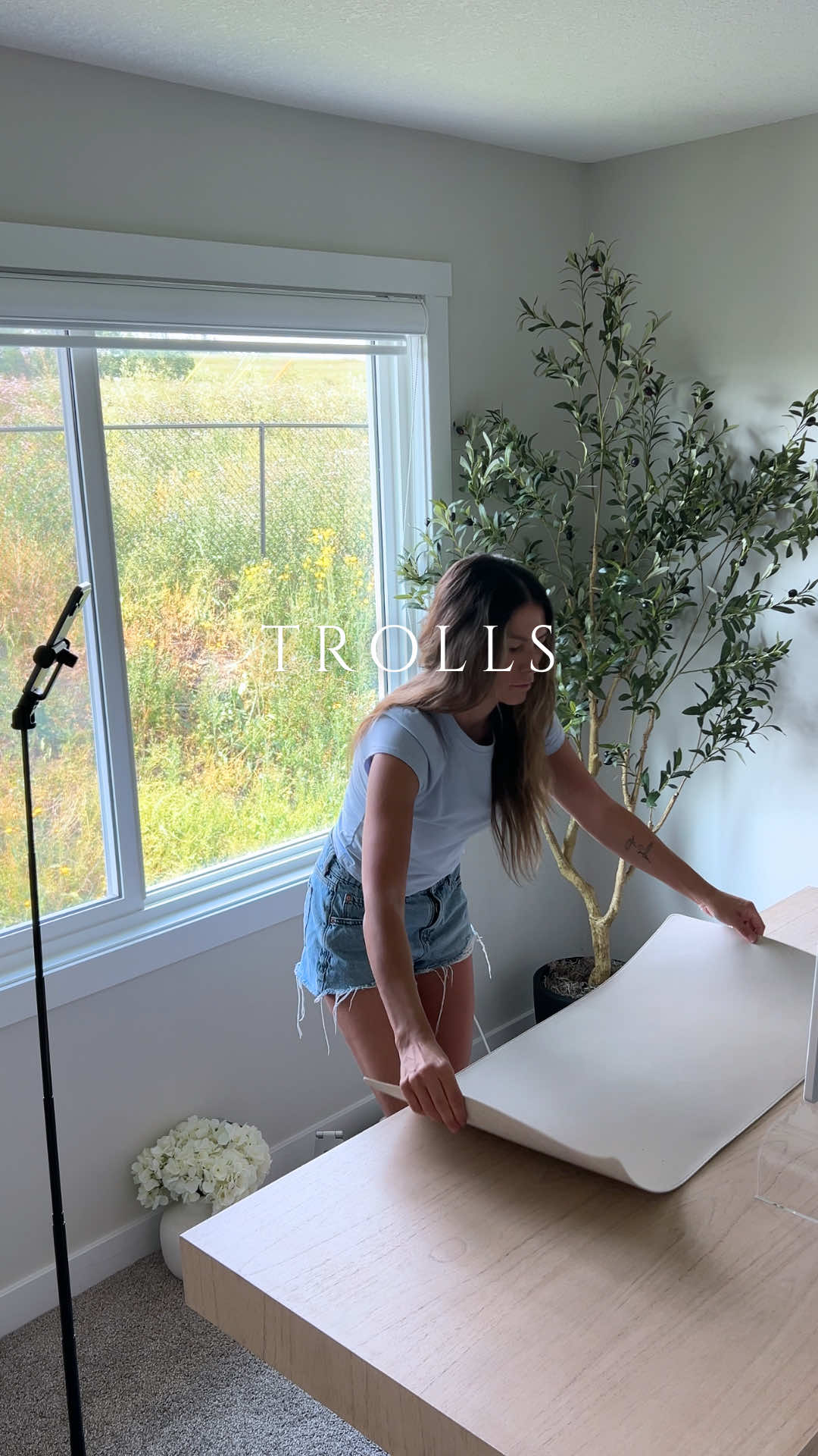 @cleaningwithmelissa_