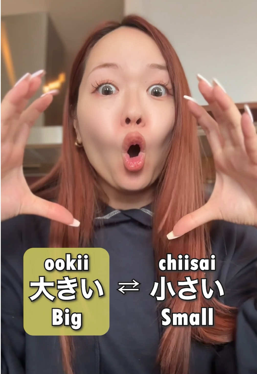 @Learn Japanese | Salmon sensei