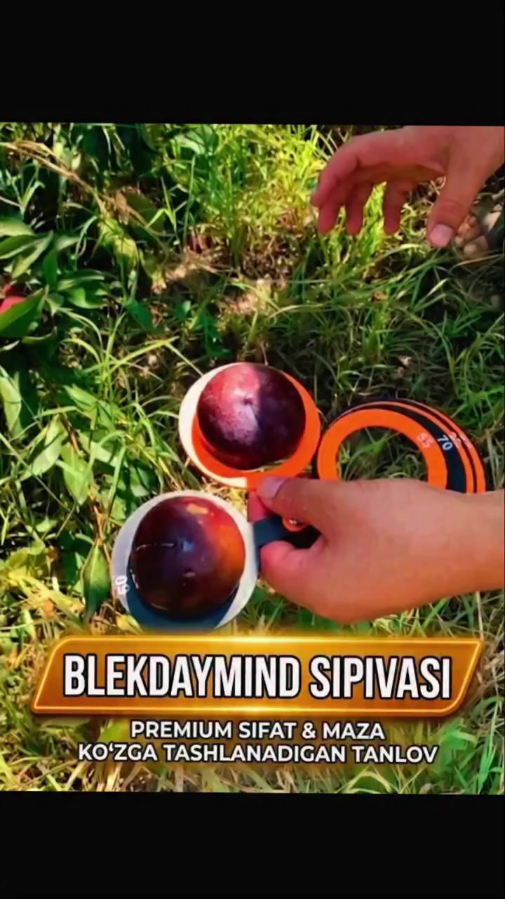 @mevali_kochatlar_agroo