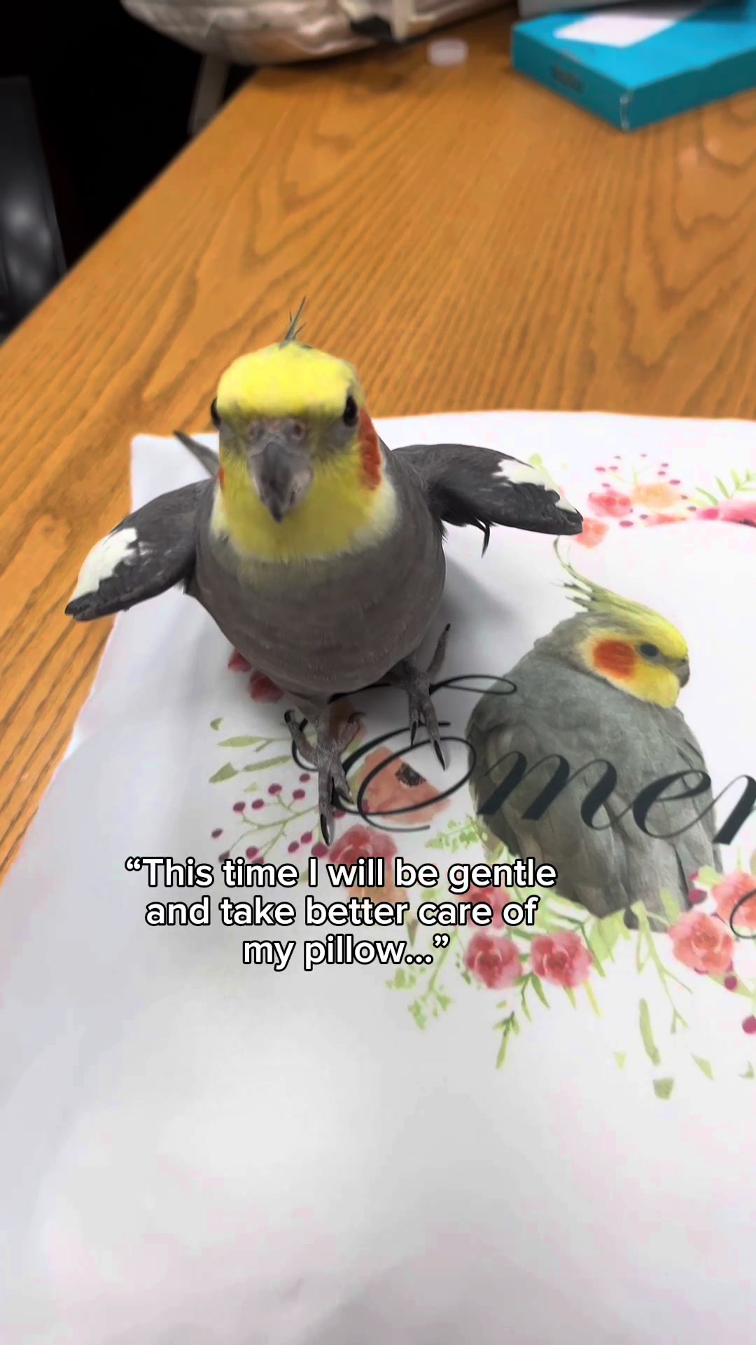 @Emery The Branch Manager