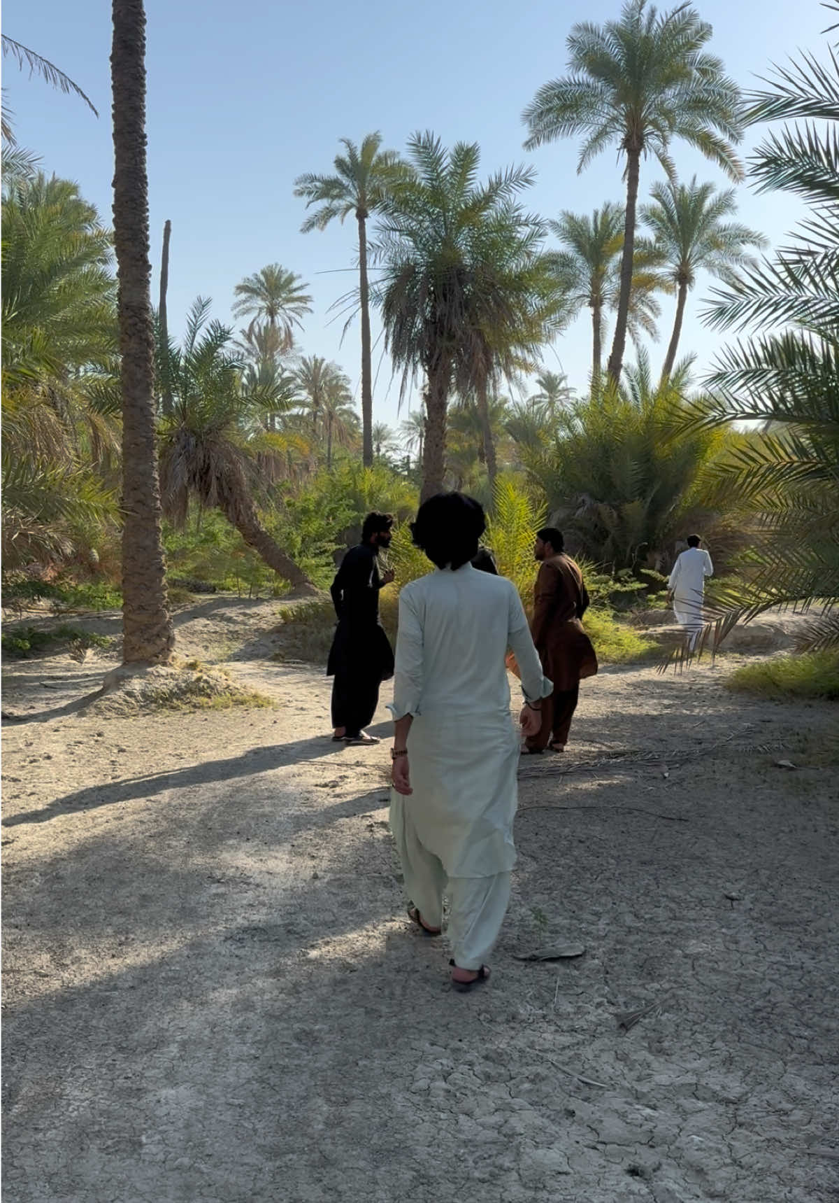 @Zeeshan Zaib 009