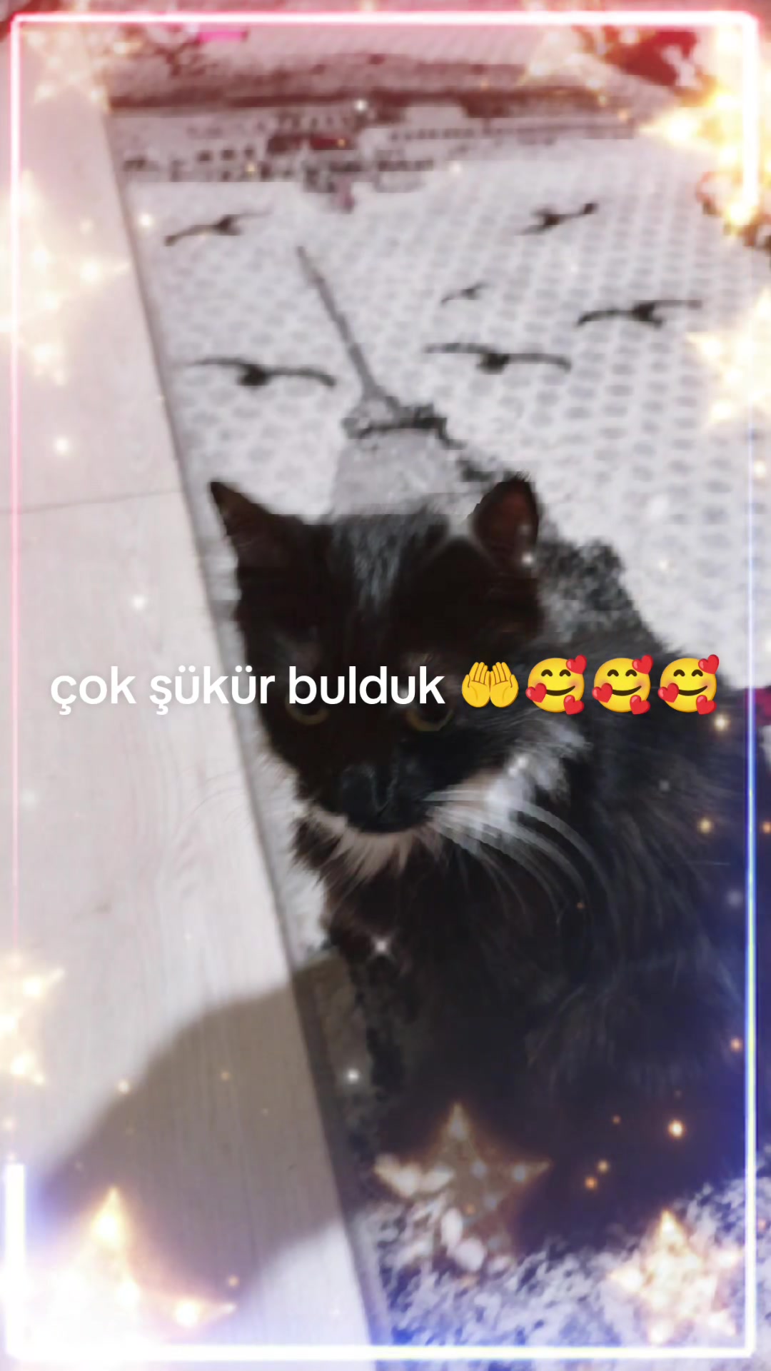 @💞BAŞ✌️BELASı💞