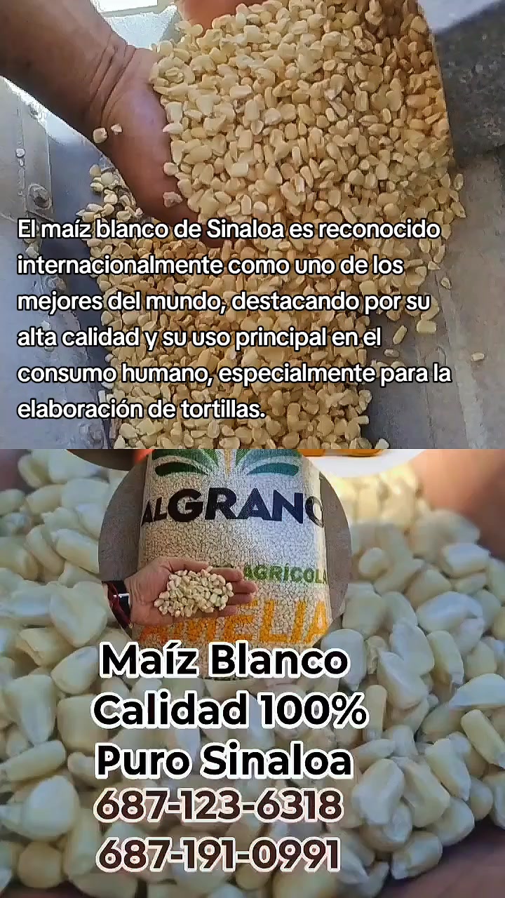 @Mario Diaz