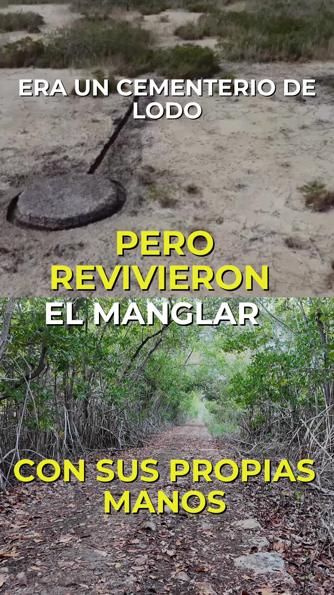 @Con Acento