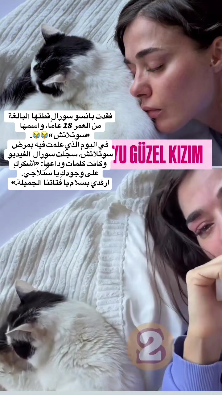 @نيسلي🎀