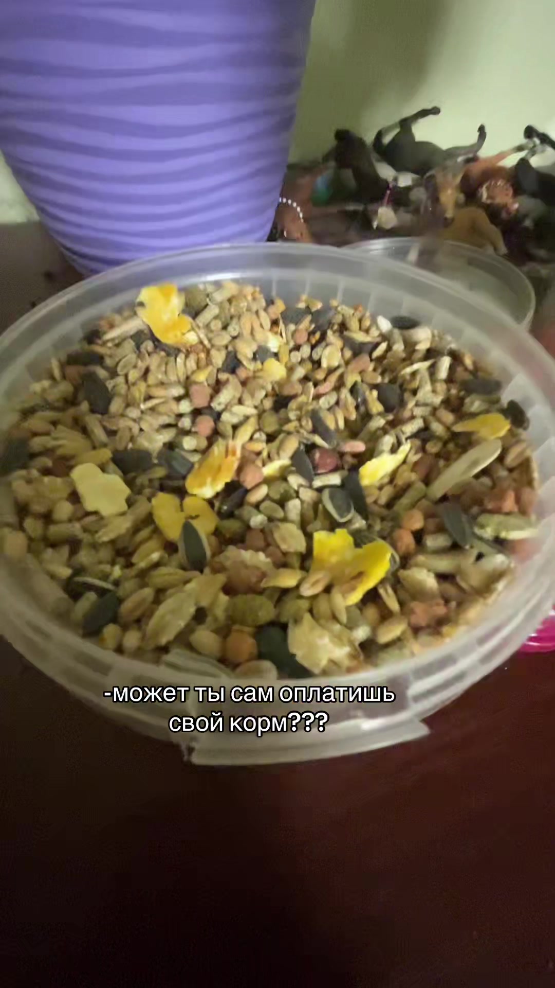 @♰котёнок♰