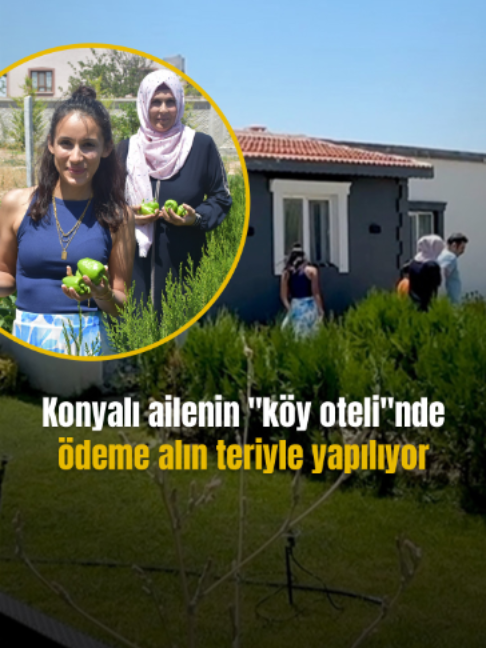 @Mynet
