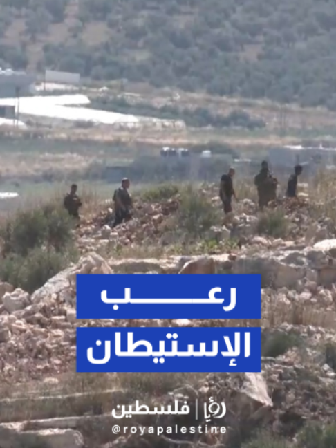@Royapalestine رؤيا فلسطين