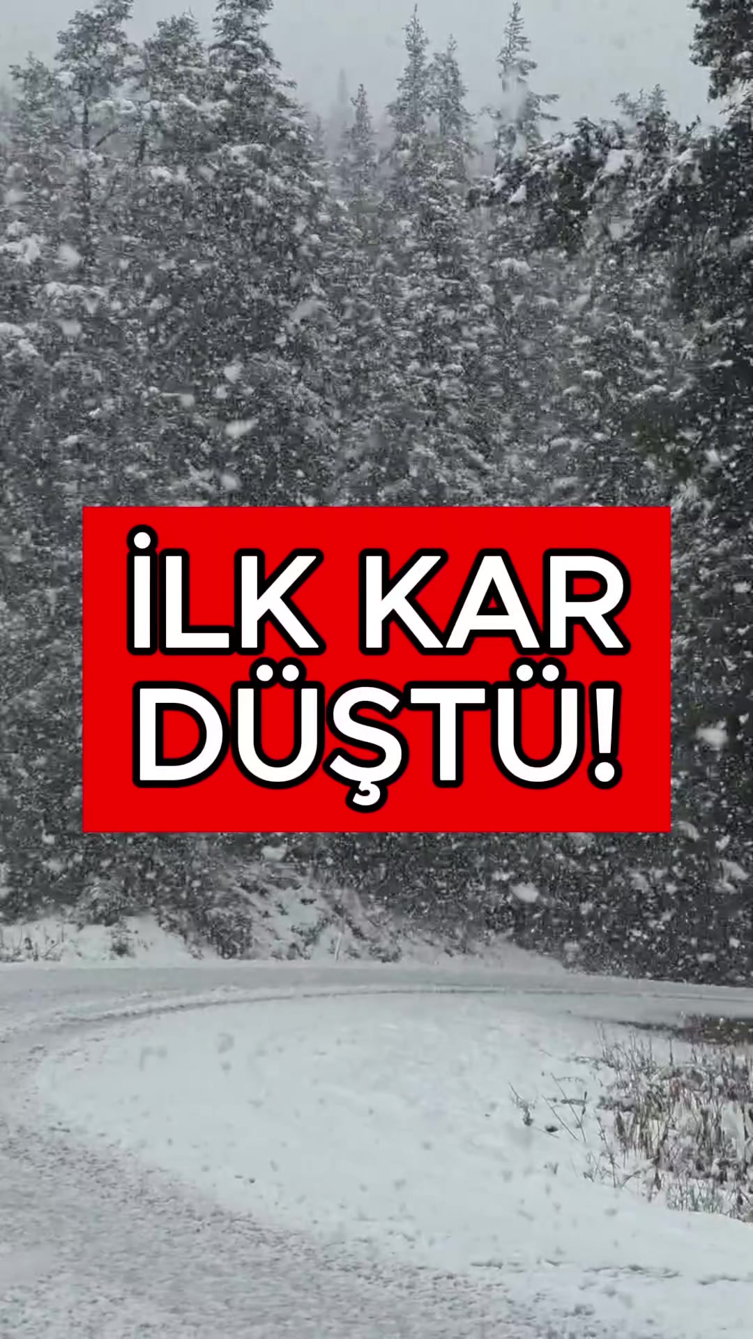 @Havadar