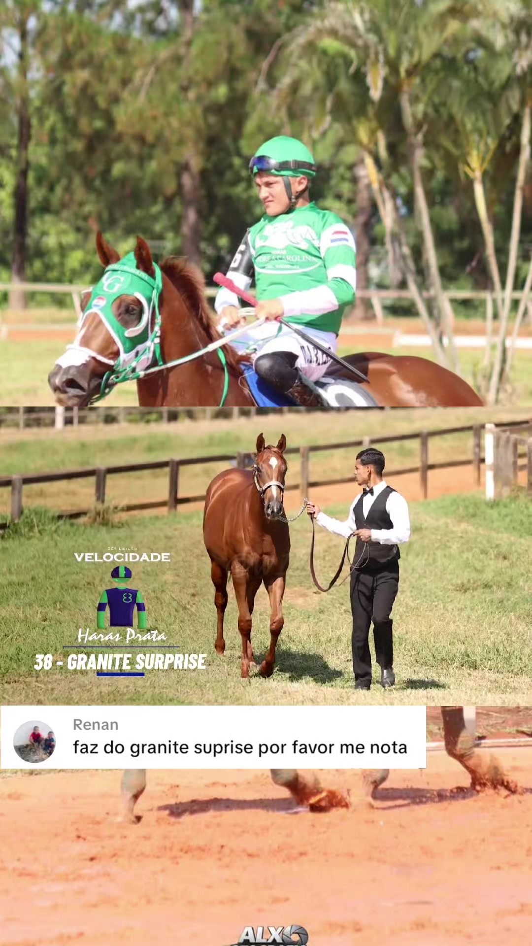 @WIL.🐎
