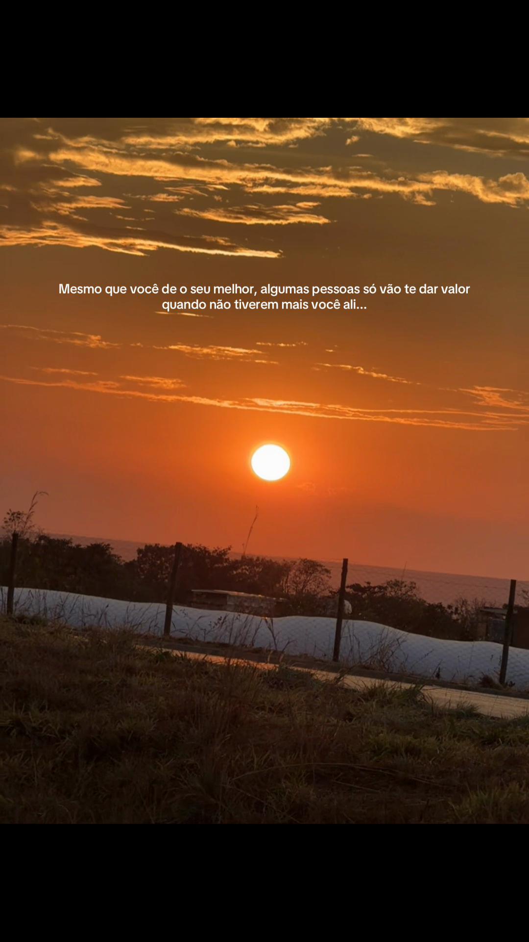 @Bruna Ellem751