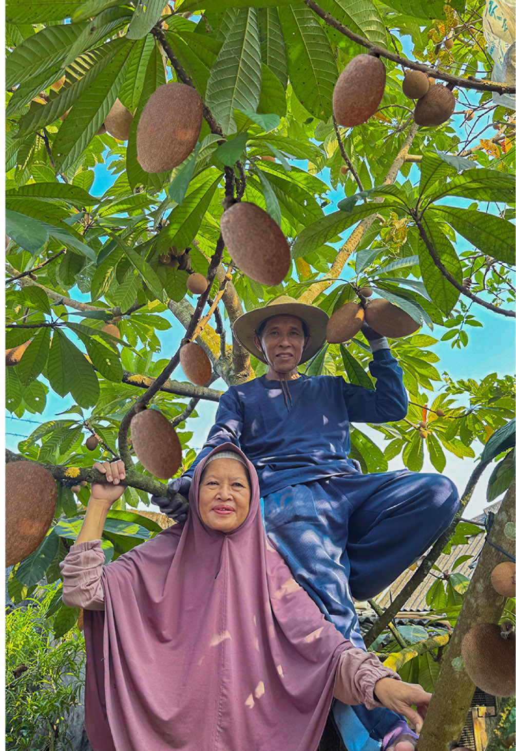 @Kampung Halaman Official