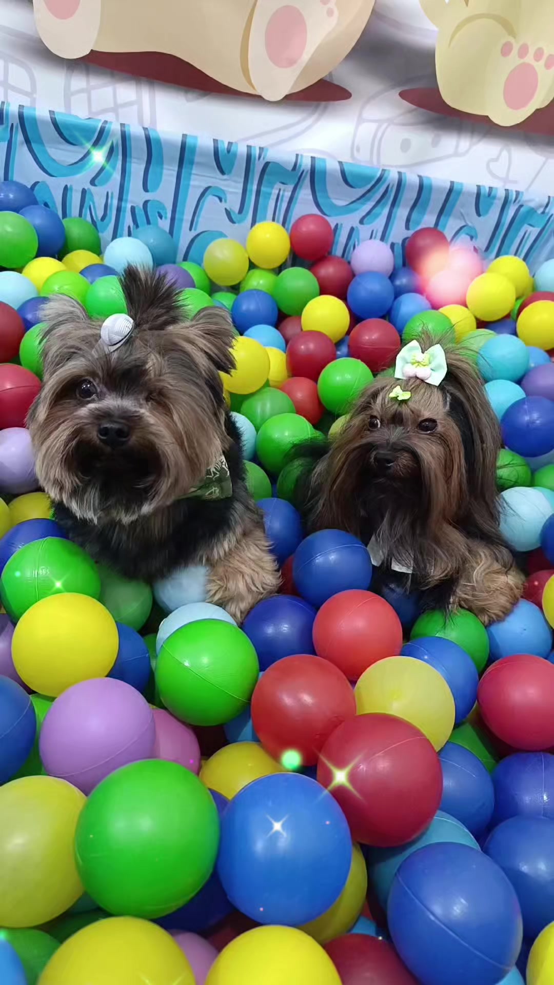 @Dog Ville Petcare