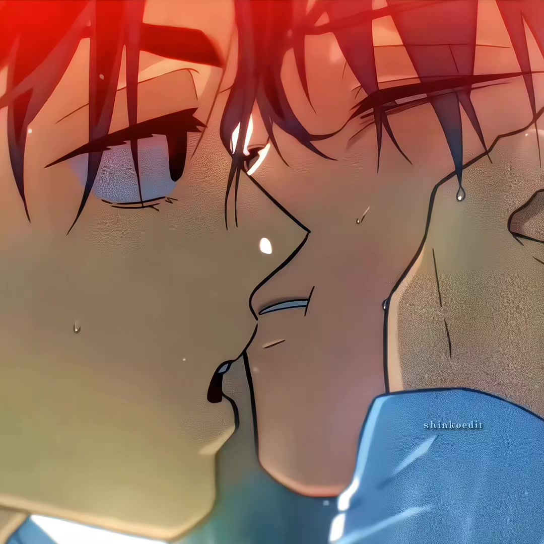 @shinkoedit