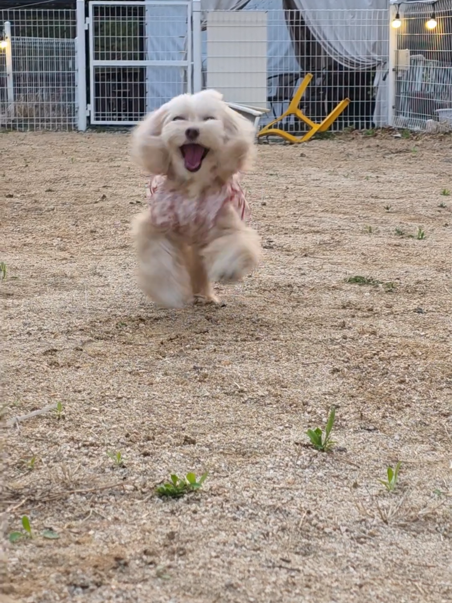 @토리엄마