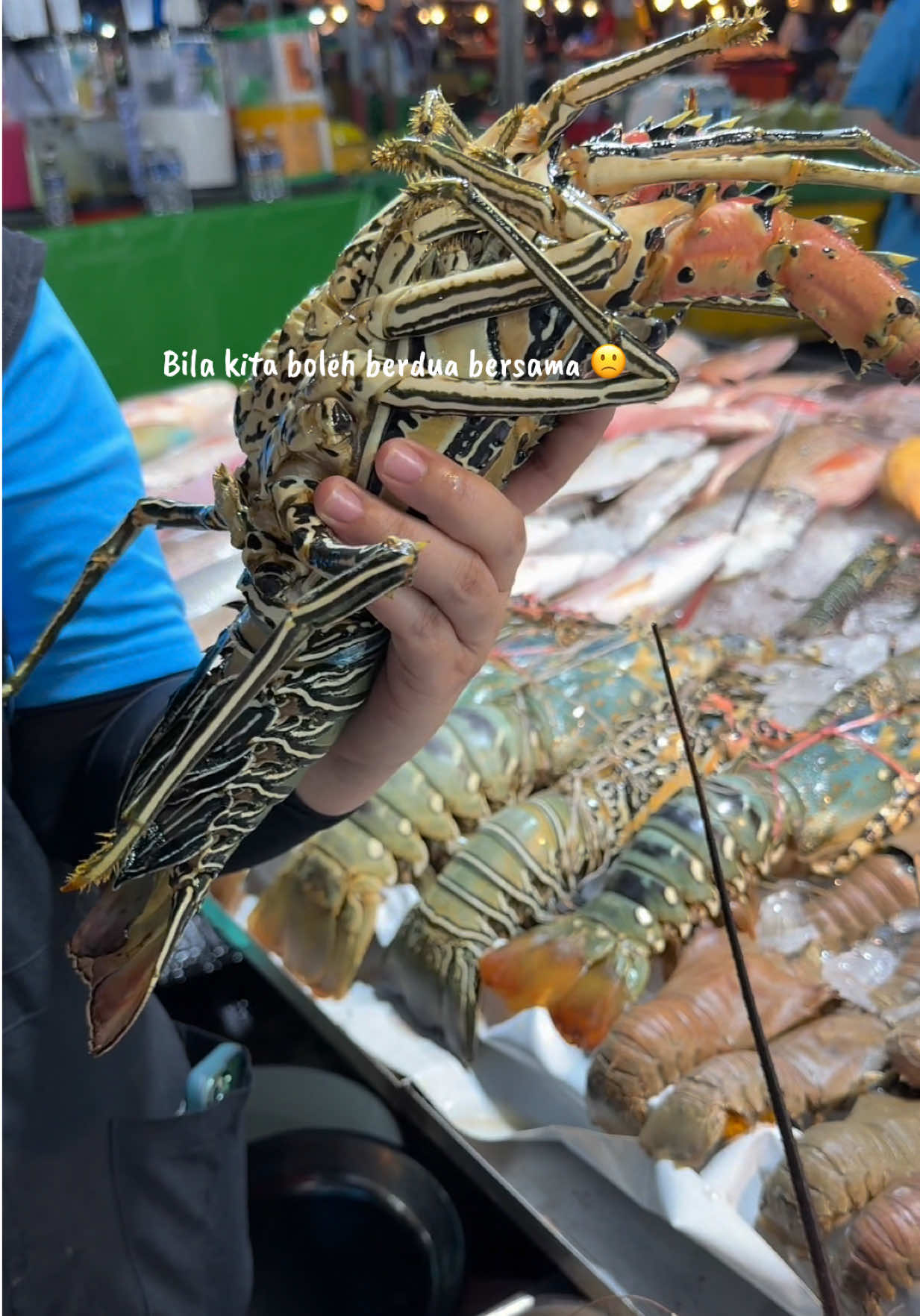 @✿ 𝐊𝐀𝐑𝐋𝐀 🧜&zwj;♀️ ༅