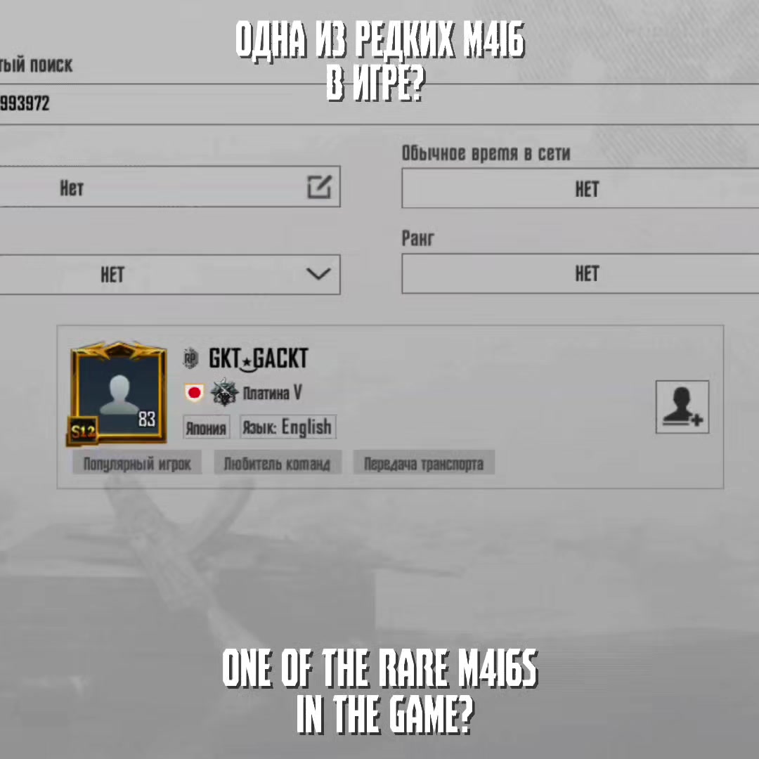 @PARADISE PUBGM
