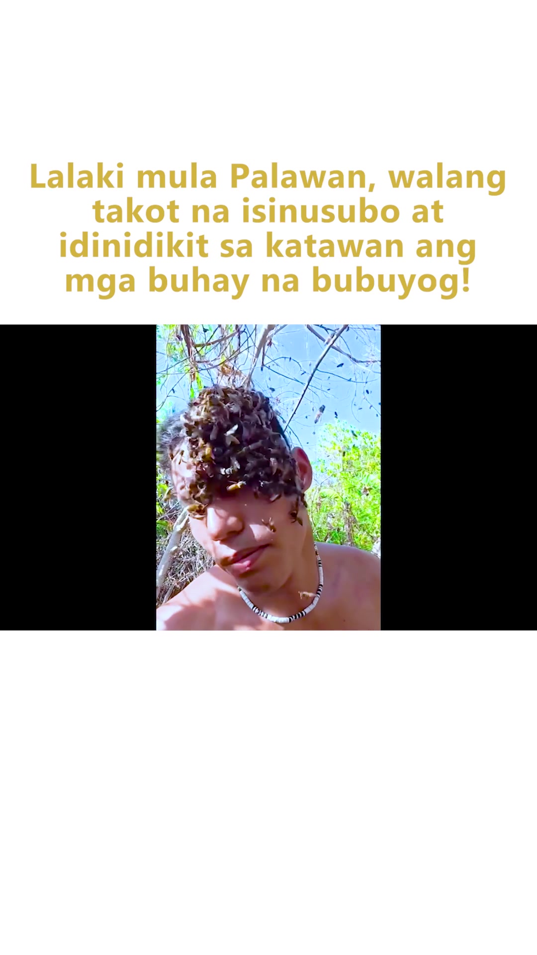 @Kapuso Mo, Jessica Soho