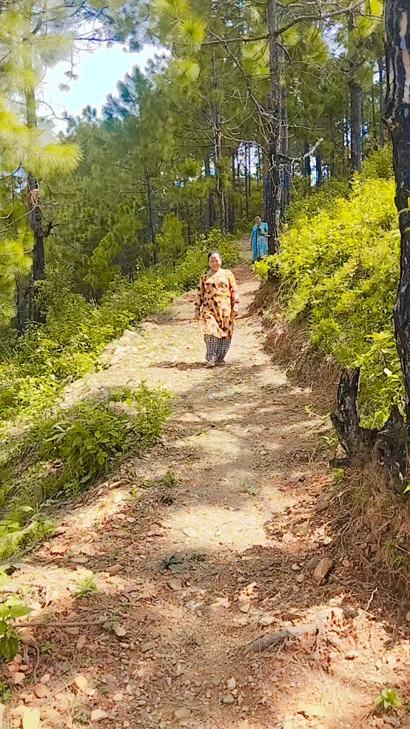 @संगिता थीङ