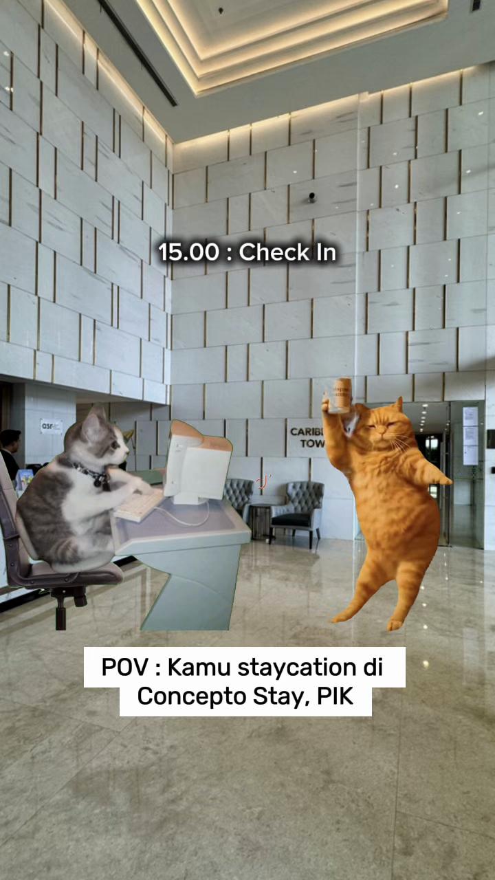 @Concepto Stay