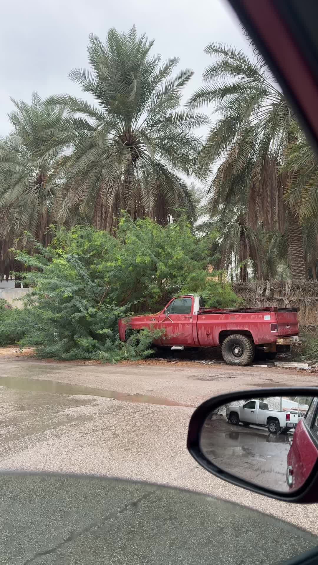 @WALAA 🌾