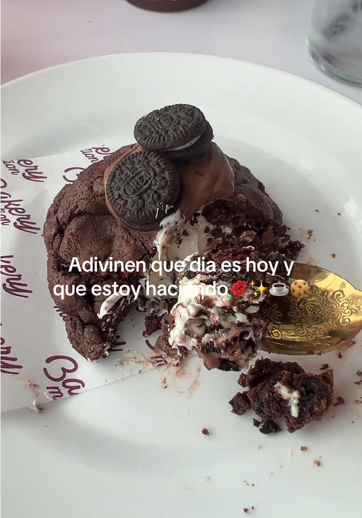 @Angelina Conte