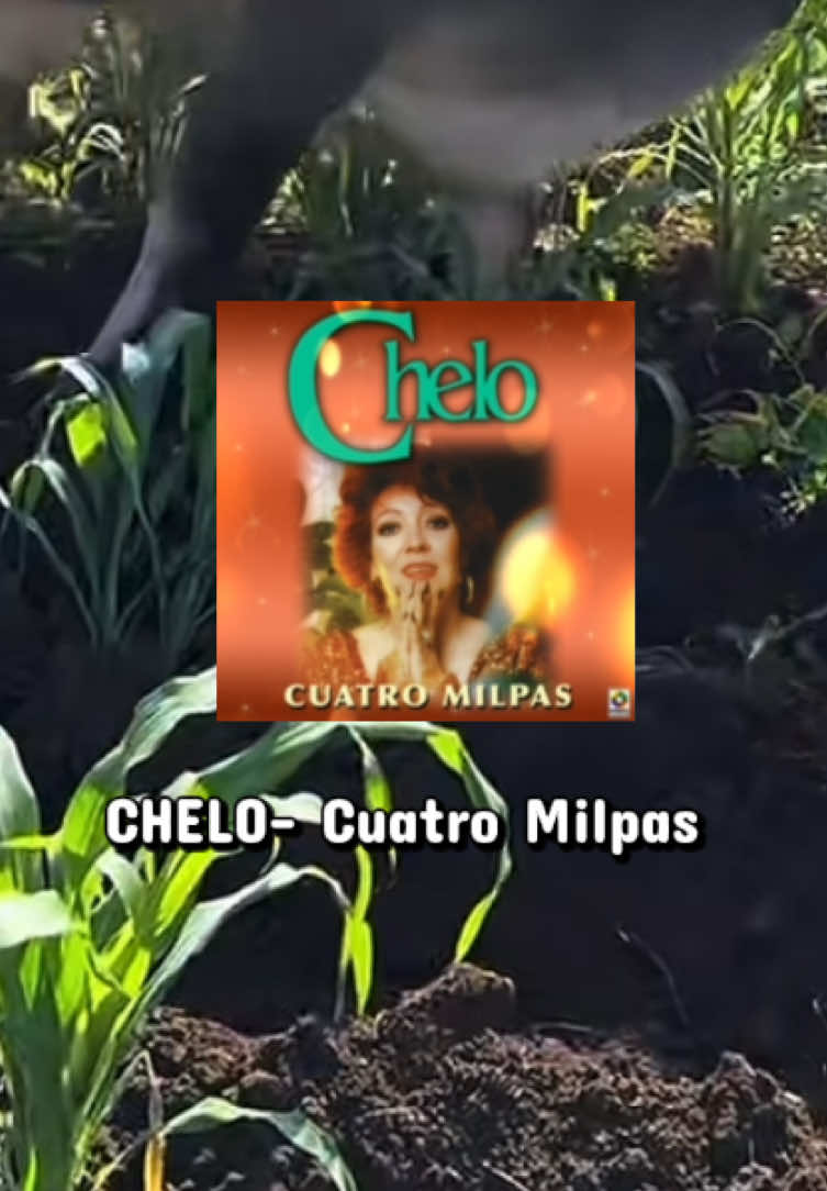 @Chelo