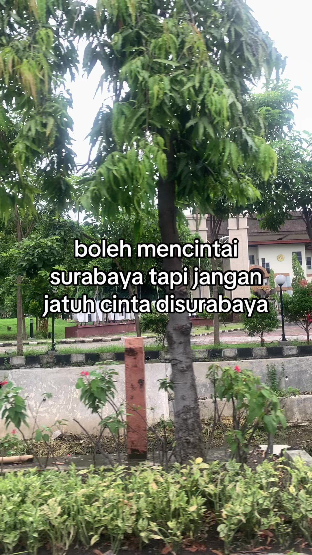 @cigarette after eat
