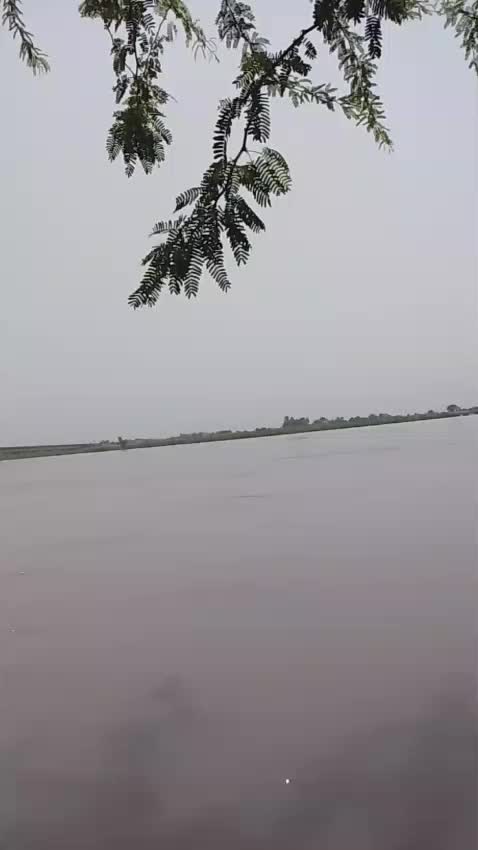 @sohailpanwar